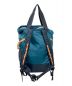 Patagonia (パタゴニア) LIGHTWEIGHT TRAVEL TOTEPACK ブルー：6000円