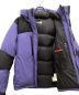 中古・古着 THE NORTH FACE (ザ ノース フェイス) Baltro Light Jacket/バルトロライトジャケット ブルー サイズ:XL：27000円