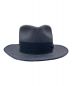 STETSON (ステットソン) ハット ネイビー サイズ:59cm：4800円