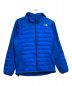 THE NORTH FACE（ザ ノース フェイス）の古着「レッドランフーディー」｜ブルー