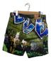 Supreme (シュプリーム) Lion's Den Painter Short グリーン サイズ: 76cm (W30)：12800円