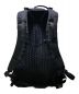 ARC'TERYX (アークテリクス) ARRO 22 BACK PACK ブラック：18000円