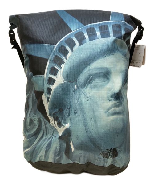 SUPREME（シュプリーム）SUPREME (シュプリーム) THE NORTH FACE (ザ ノース フェイス) STATUE OF LIBERTY WATERPROOF BACK PACK ネイビー 未使用品の古着・服飾アイテム