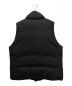 DAIWA PIER39 (ダイワ ピア39) GORE-TEX INFINIUM FIELD DOWN VEST ブラック サイズ:SIZE L：35000円