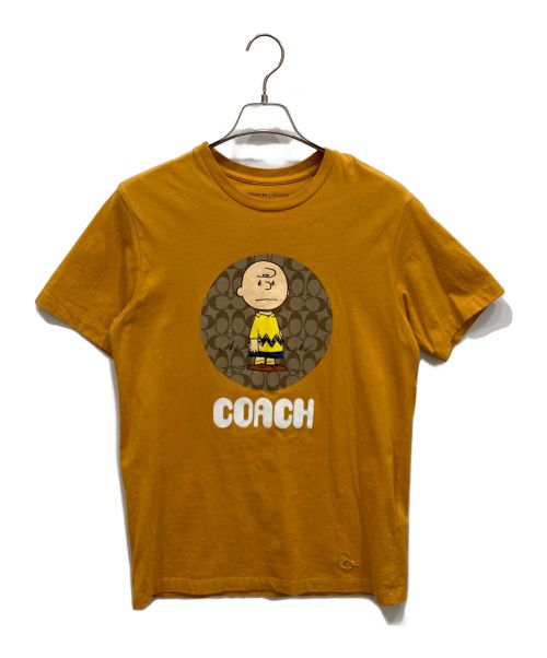 COACH（コーチ）COACH (コーチ) PEANUTS (ピーナッツ) チャーリー シグネチャープリントT　半袖カットソー ブラウン サイズ:Sの古着・服飾アイテム