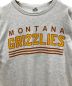 中古・古着 Champion (チャンピオン) 80's GRIZZLIES TEE　Tシャツ グレー サイズ:XL：7000円