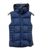 Patagoniaパタゴニア）の古着「Down With It Vest」｜ネイビー