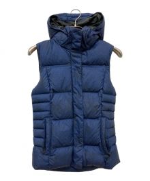 Patagonia（パタゴニア）の古着「Down With It Vest」｜ネイビー