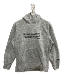 THE NORTH FACE（ザ ノース フェイス）の古着「Ishigaki Souvenir Hoodie」｜グレー