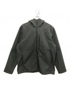 THE NORTH FACEザ ノース フェイス）の古着「Apex Bionic 3 Hoodie」｜グレー