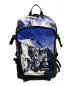 SUPREME×THE NORTH FACE（シュプリーム × ザノースフェイス）の古着「MOUNTAIN EXPEDITION BACKPACK」｜ブルー