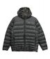 Patagonia（パタゴニア）の古着「Hi-Loft Down Hoody」｜ブラック