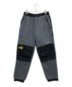 THE NORTH FACEザ ノース フェイス）の古着「STEEP TECH Freece Pant」｜グレー×イエロー