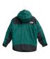 THE NORTH FACE (ザ ノース フェイス) MOUNTAIN DOWN JACKET ボタニカルガーデングリーン サイズ:L：31000円