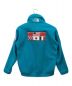 THE NORTH FACE (ザ ノース フェイス) TRANS ANTARCTICA FLEECE ジェイド サイズ:S：29800円