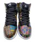 NIKE SB (ナイキエスビー) DUNK HIGH PREMIUM SB STAINED GLASS