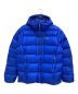 Patagonia（パタゴニア）の古着「フィッツロイダウンフーディ」｜ブルー