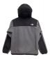 THE NORTH FACE (ザ ノース フェイス)  DENALI HOODIE グレー サイズ:M：9800円