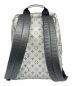 LOUIS VUITTON (ルイ ヴィトン) アポロ バックパック シルバー：270000円