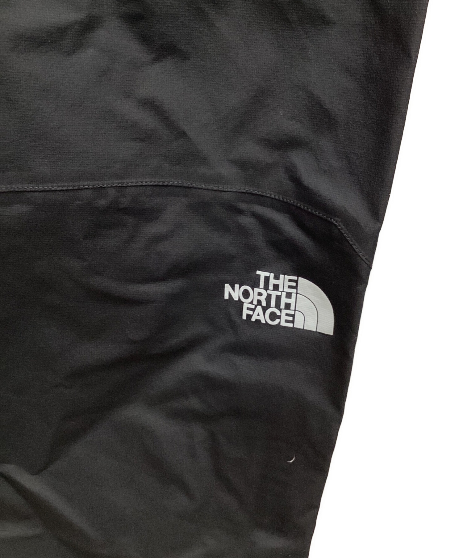 THE NORTH FACE (ザ ノース フェイス) ゴアテックス レインテックス プラズマ パンツ ブラック サイズ:S