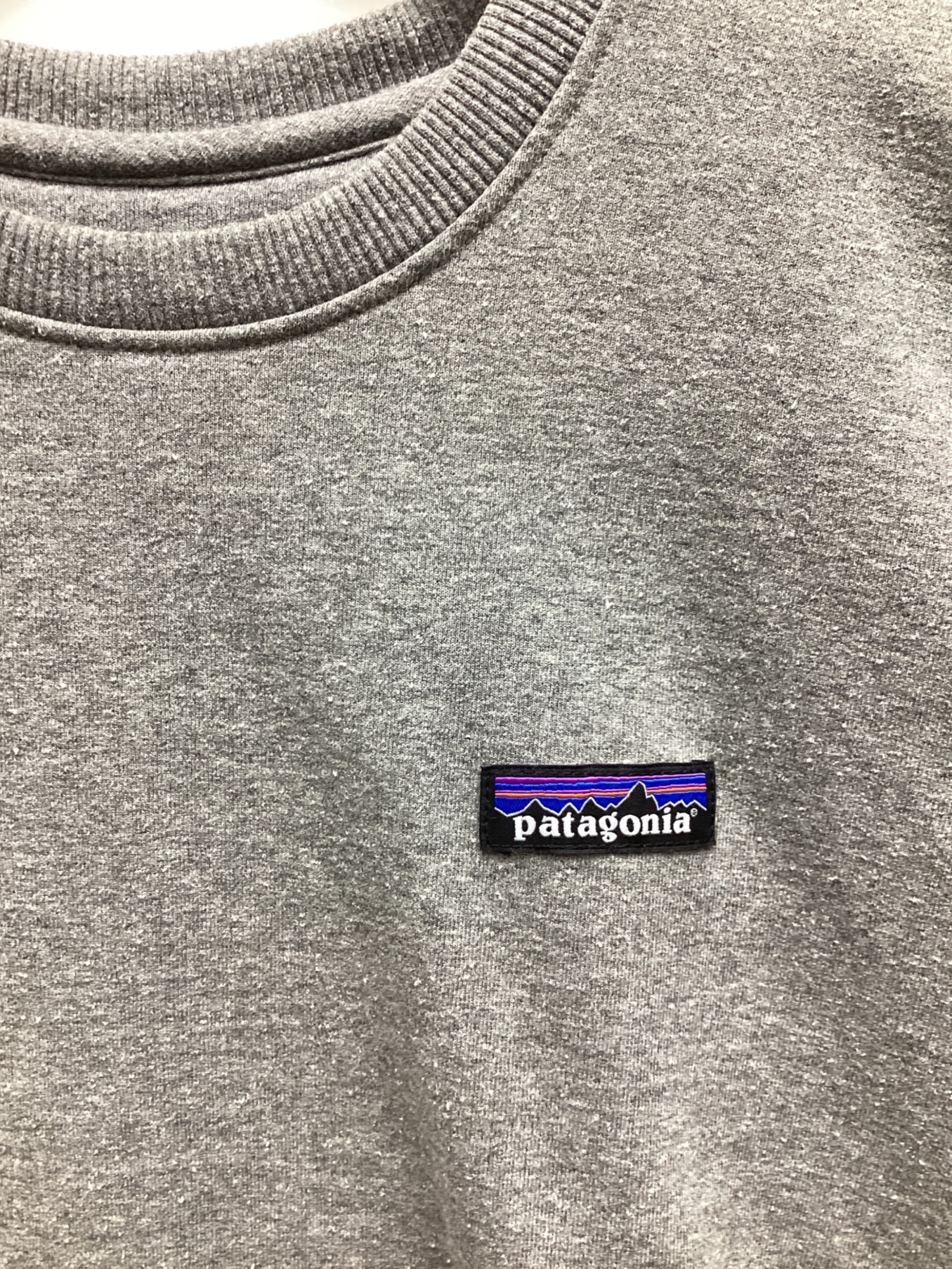 中古・古着通販】Patagonia (パタゴニア) スウェット ライトグレー