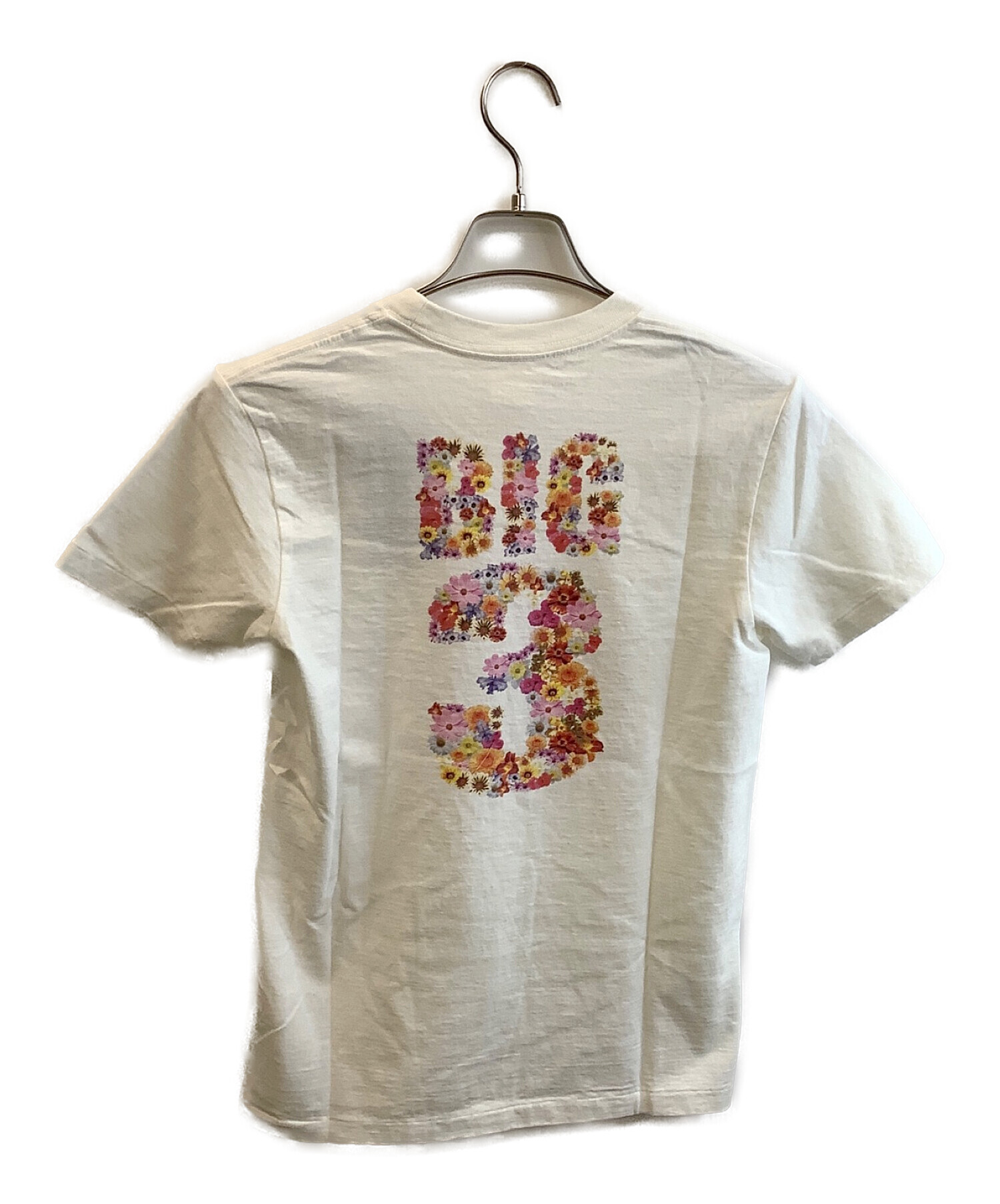 GRAND CANYON GDC Tシャツ HRC - ブランド別