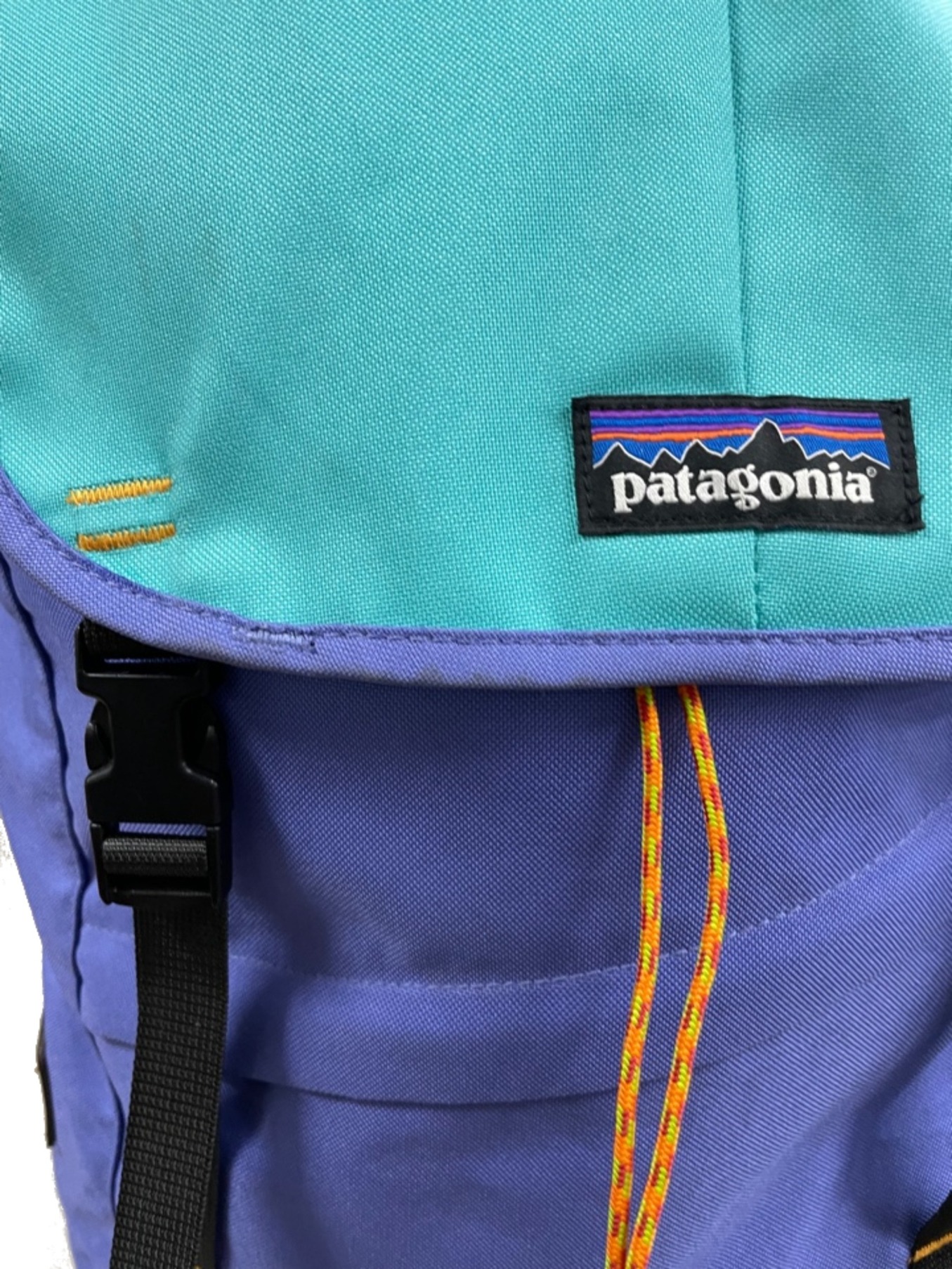 Patagonia (パタゴニア) リュック パープル×グリーン