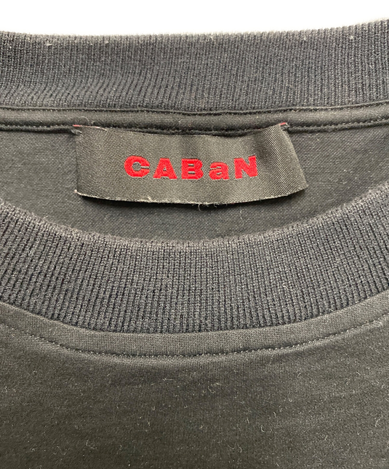 中古・古着通販】CABAN (キャバン) スビンコットン パレルモプリントT