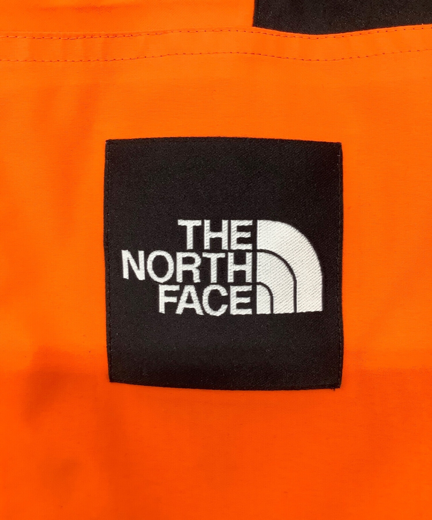 中古・古着通販】THE NORTH FACE (ザ ノース フェイス) RAGE GTX SHELL