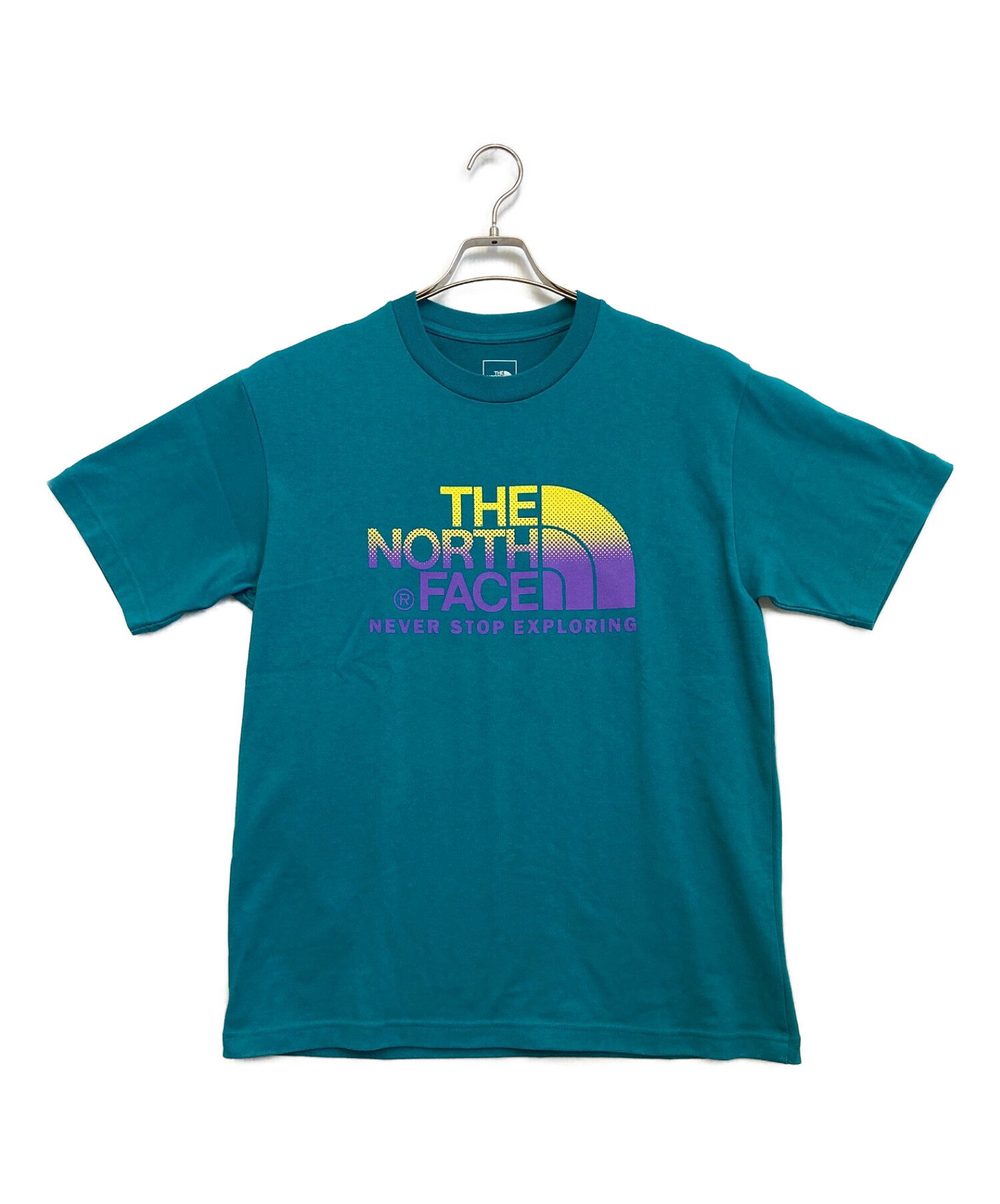 THE NORTH FACE (ザ ノース フェイス) プリントTシャツ ブルー サイズ:XL