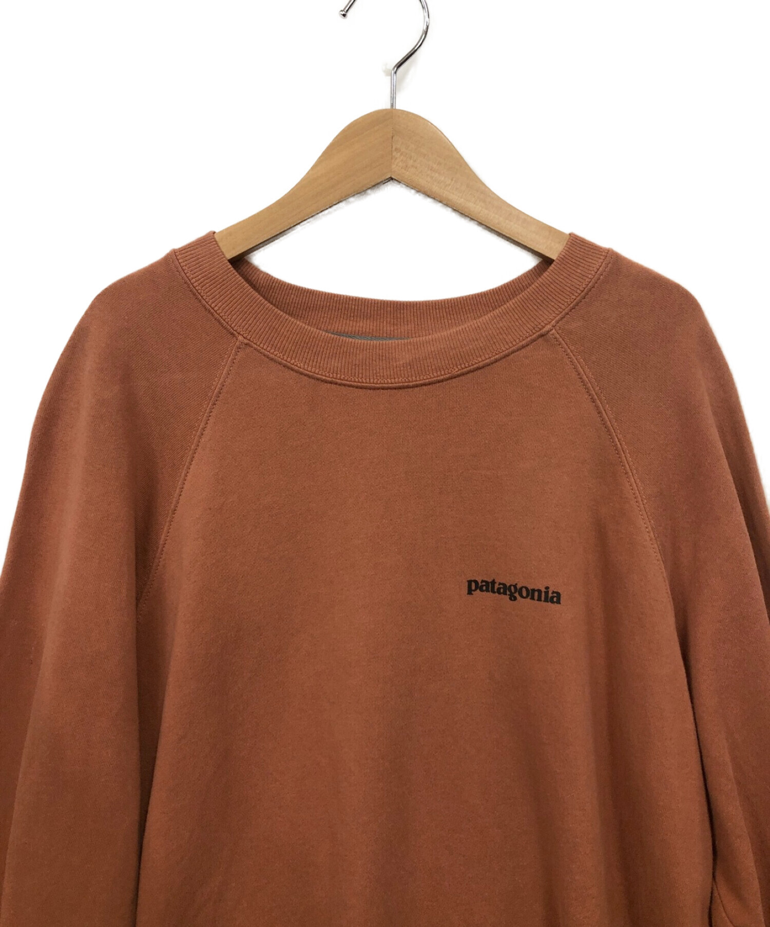 Patagonia (パタゴニア) スウェット ブラウン サイズ:L