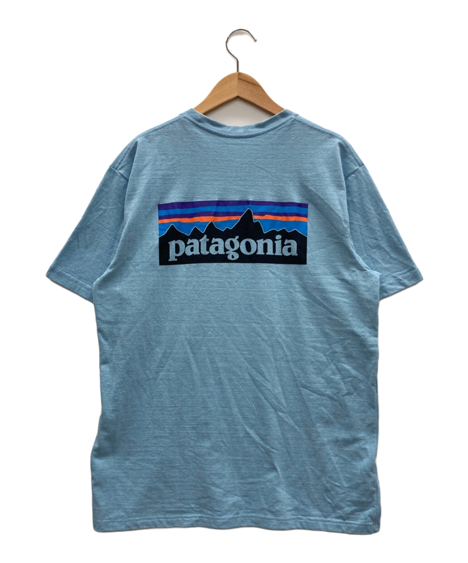 Patagonia (パタゴニア) Tシャツ ブルー サイズ:M