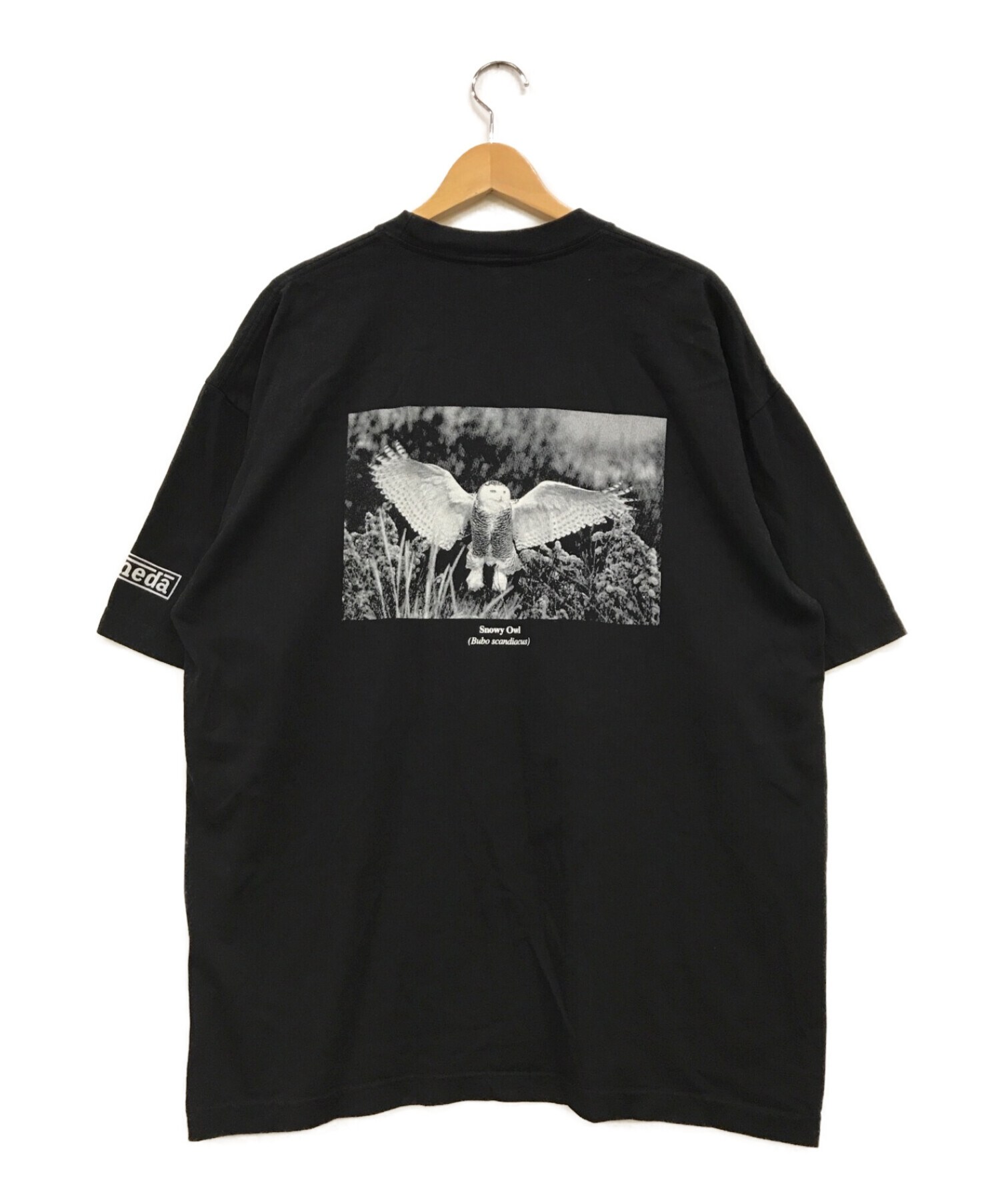 The Almeda Club (ザアラメダクラブ) プリントTシャツ ブラック サイズ:XL