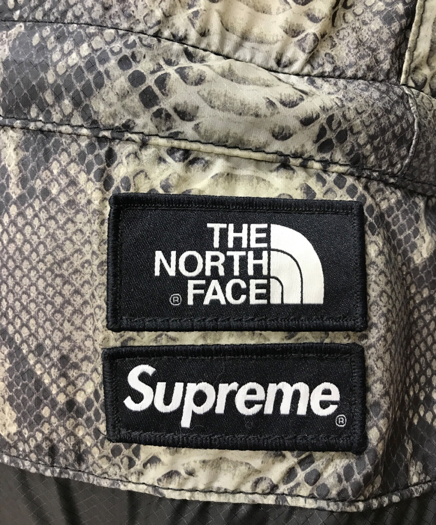 Supreme x discount tnf snakeskin backpack