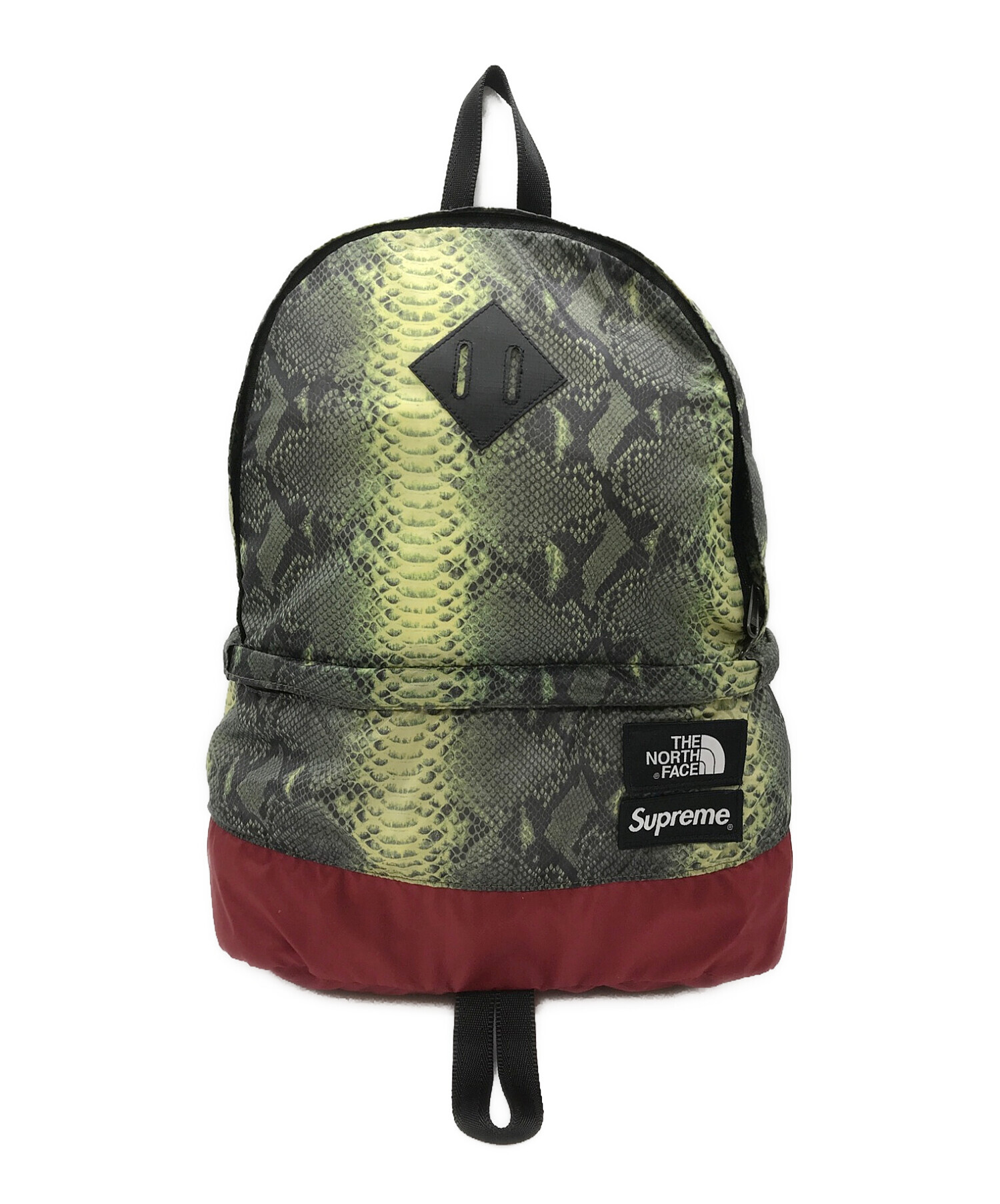 Supreme THE NORTH FACE snake daypack