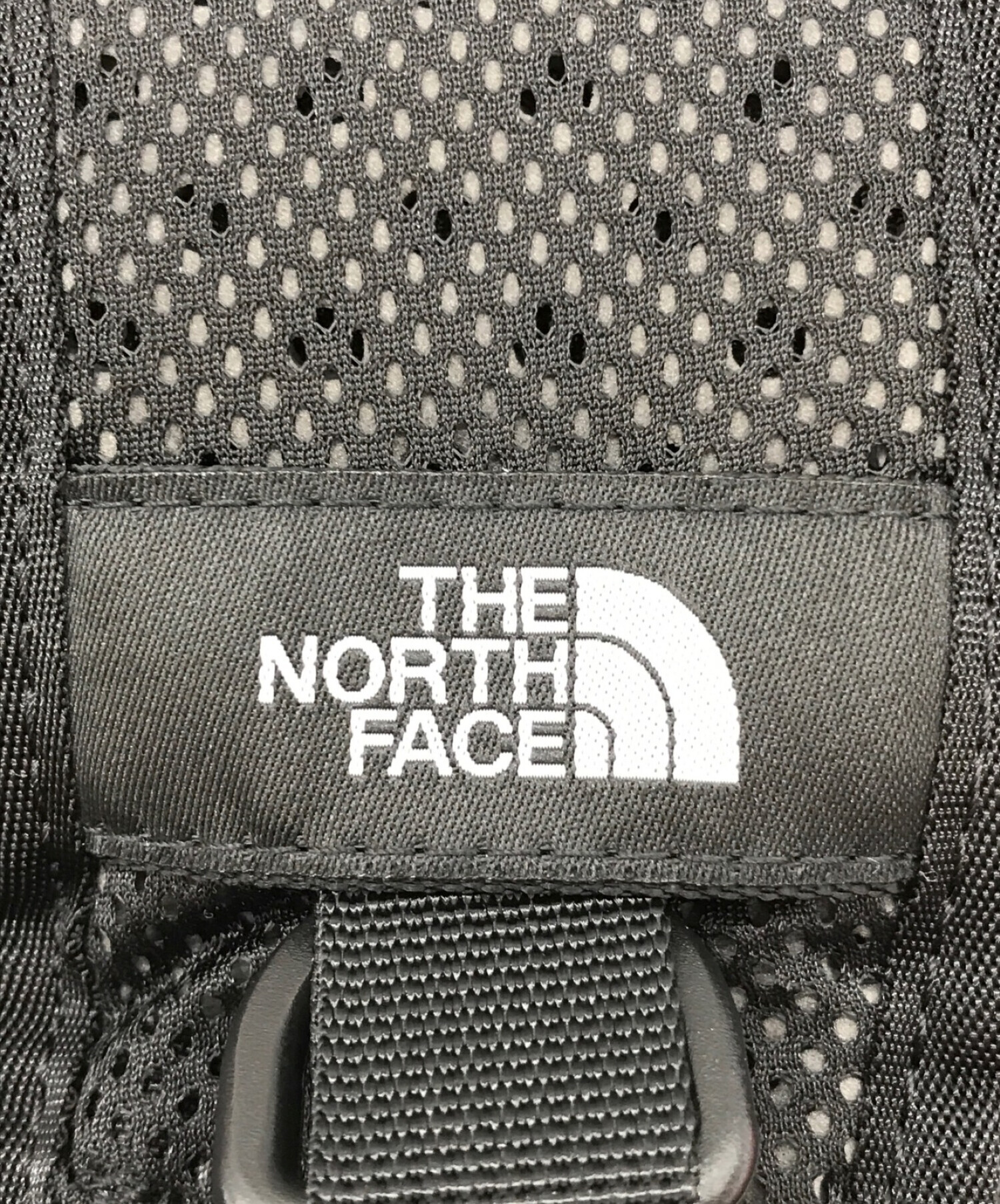 SUPREME×THE NORTH FACE (シュプリーム × ザノースフェイス) 自由の女神像バックパック レッド×ブルー