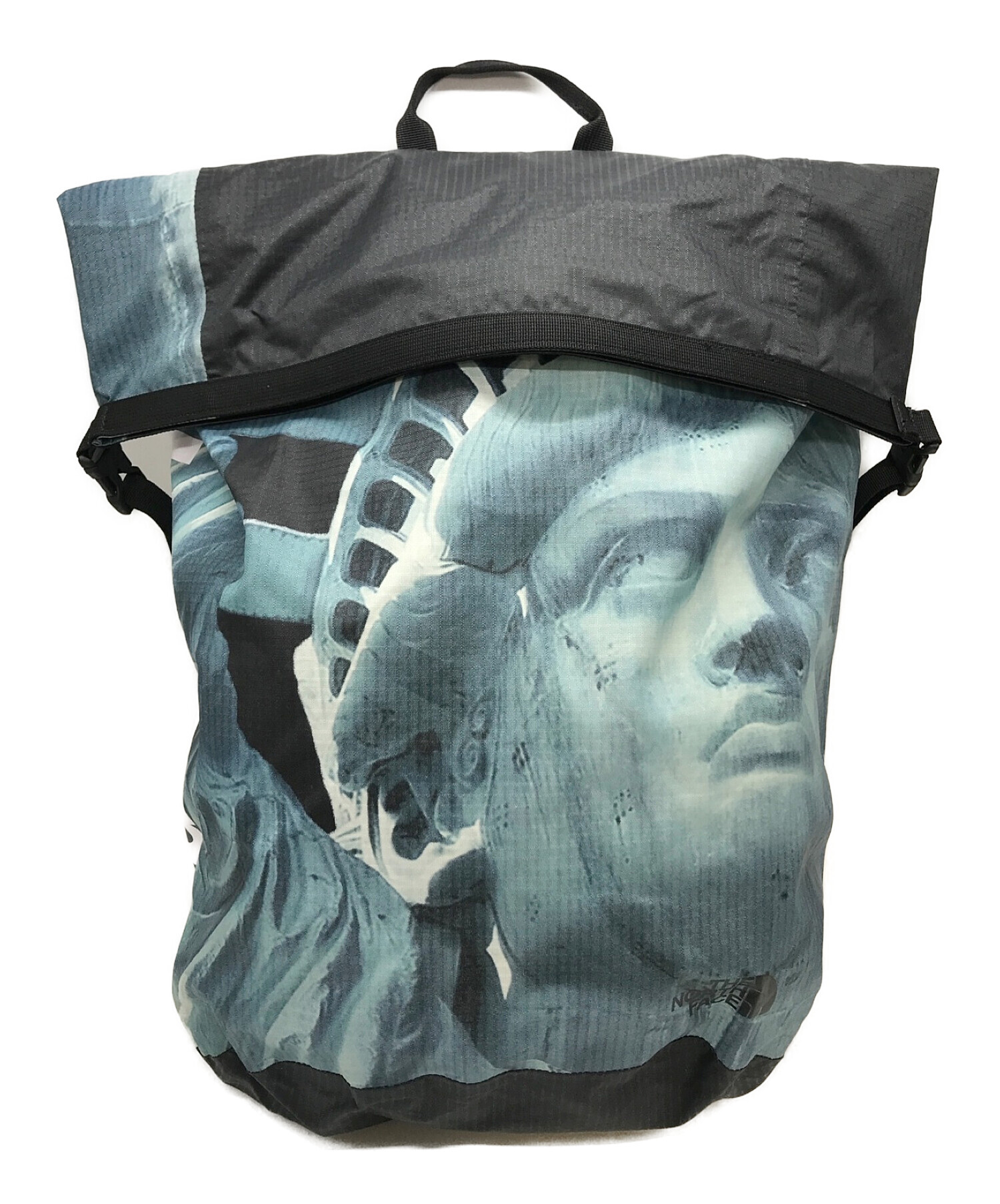 Supreme (シュプリーム) THE NORTH FACE (ザ ノース フェイス) 19AW 自由の女神 STATUE OF LIBERTY  WATER PROOF バックパック ブラック