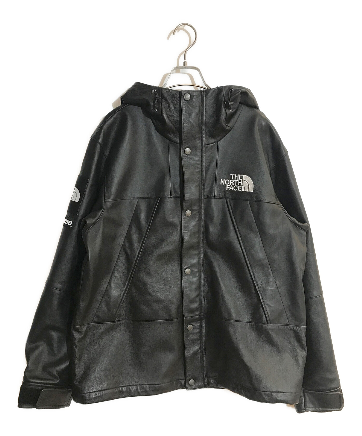 Supreme  The North Face Leather Mountain