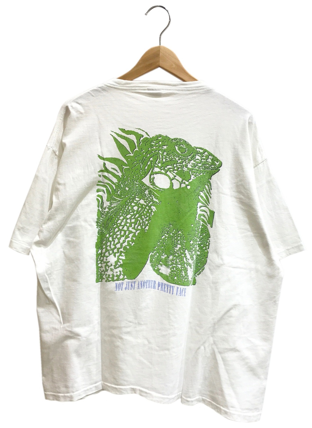 【超希少】Patagonia イグアナ Tシャツ 90s パタゴニア XL