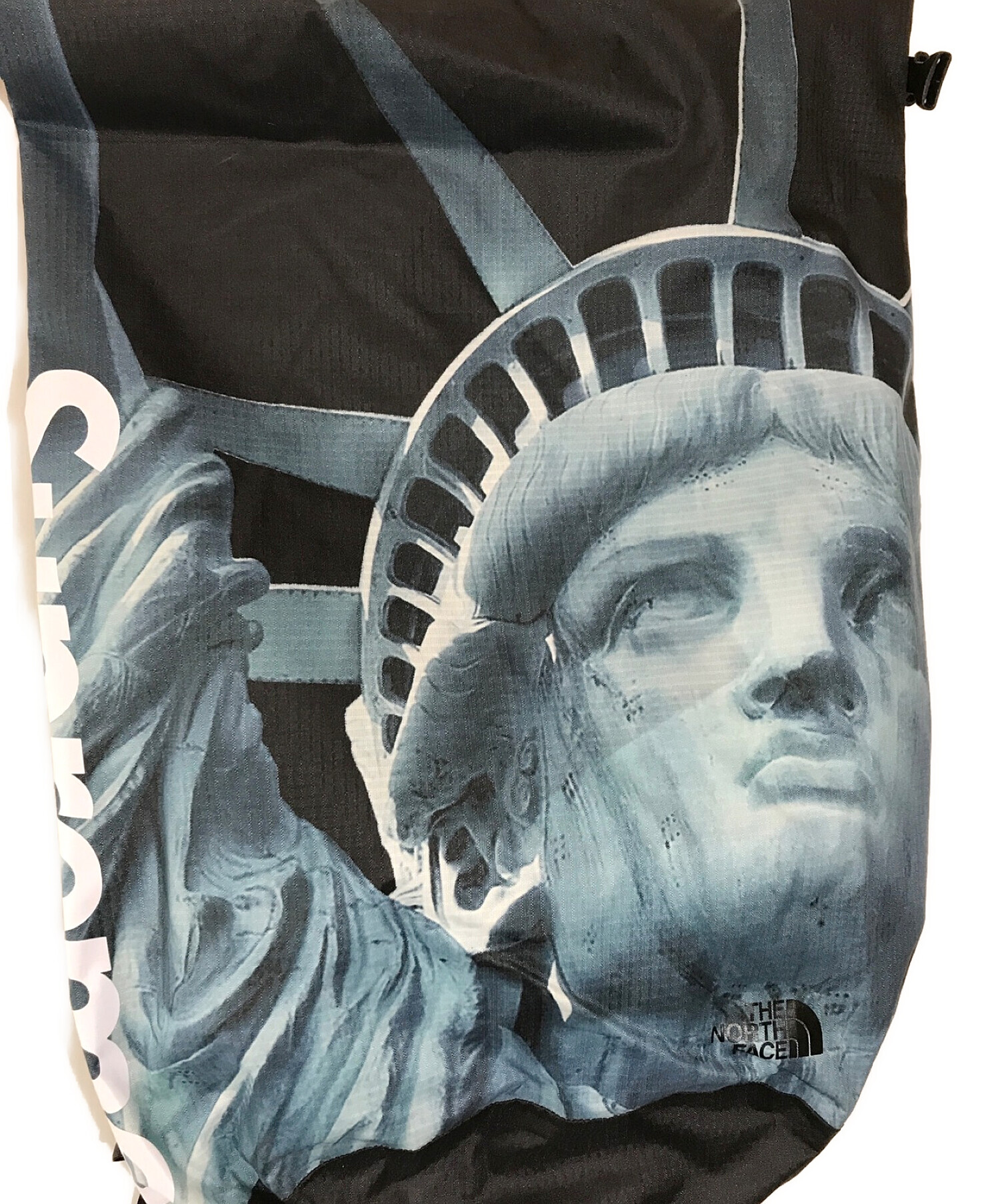 SUPREME×THE NORTH FACE (シュプリーム × ザノースフェイス) Statue of Liberty Waterproof  Backpack ブルー