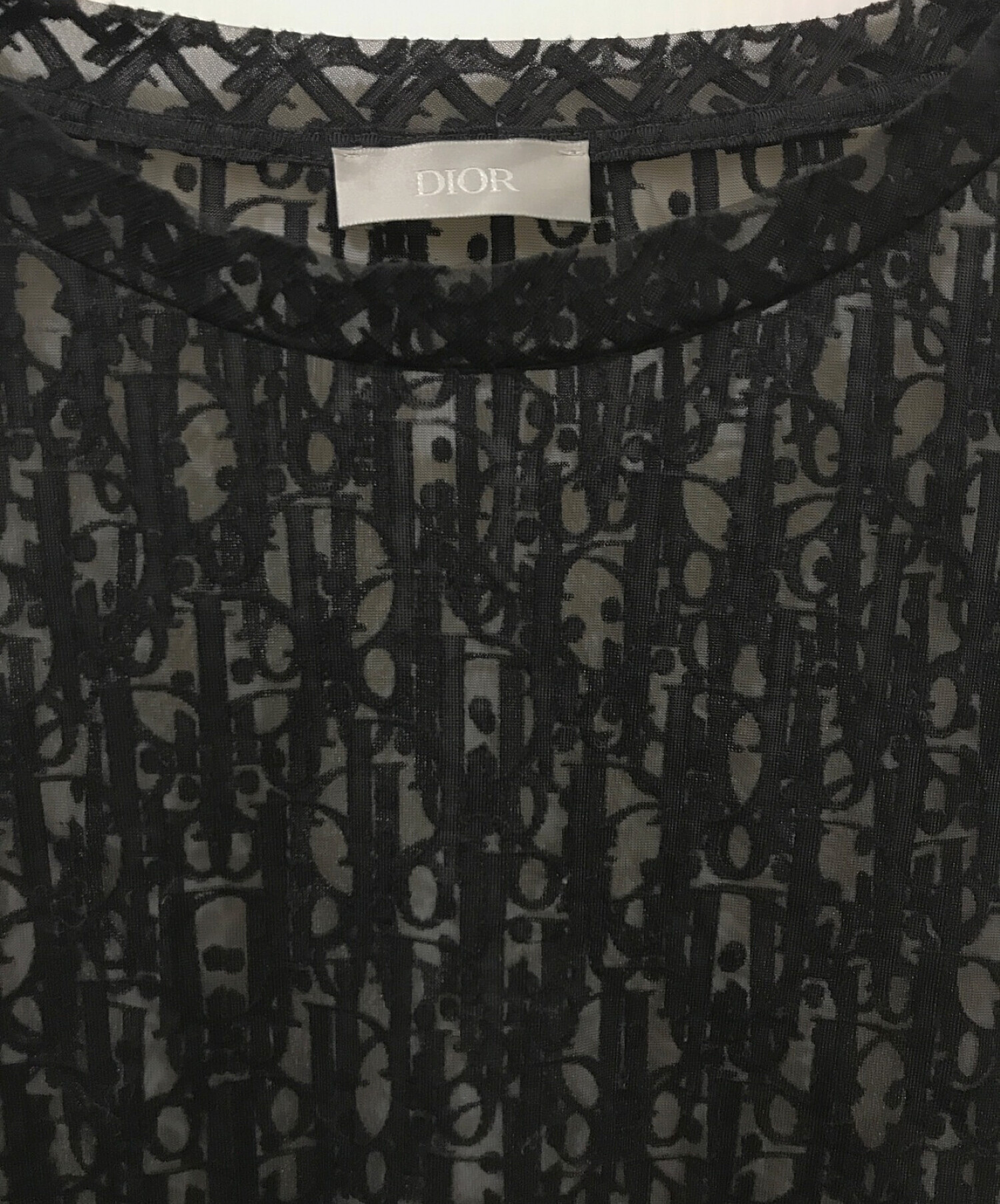 DIOR ディオール シースルー オブリーク 黒 Tシャツ ディオールオムTシャツ/カットソー(半袖/袖なし)