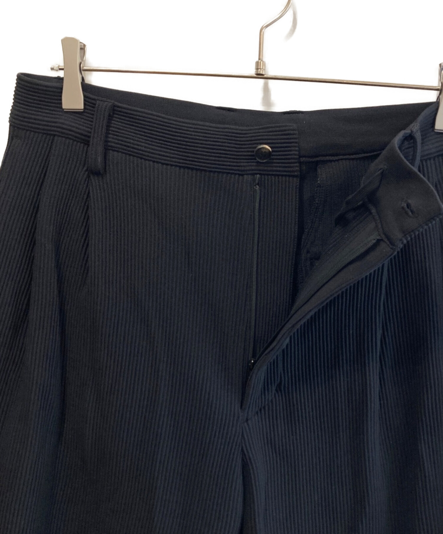 中古・古着通販】stein (シュタイン) Gradation Pleats Two Tuck