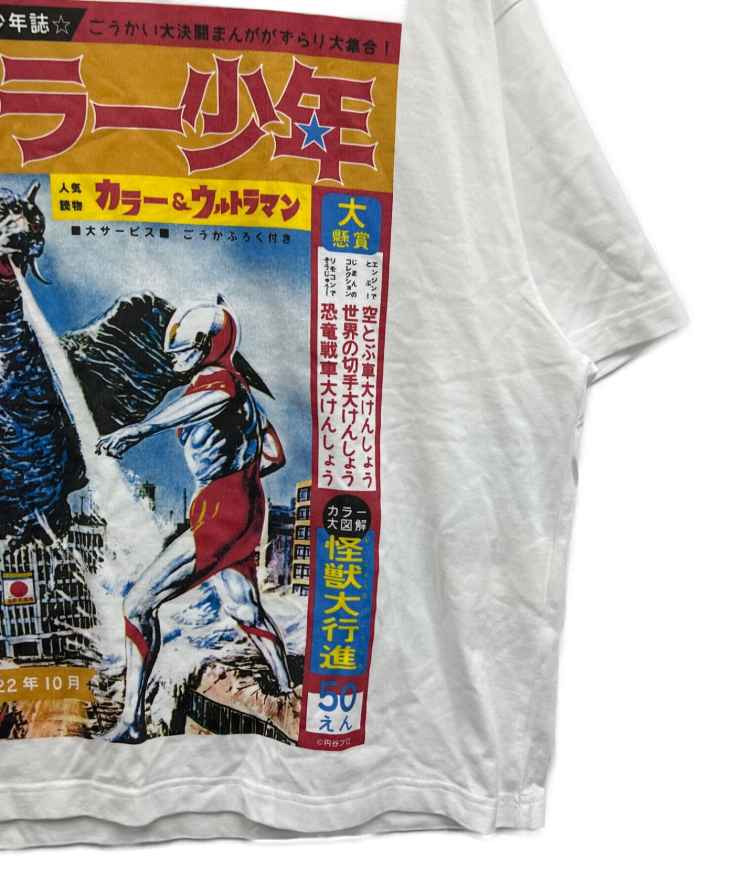 中古・古着通販】KOLOR (カラー) プリントTシャツ ホワイト サイズ:L