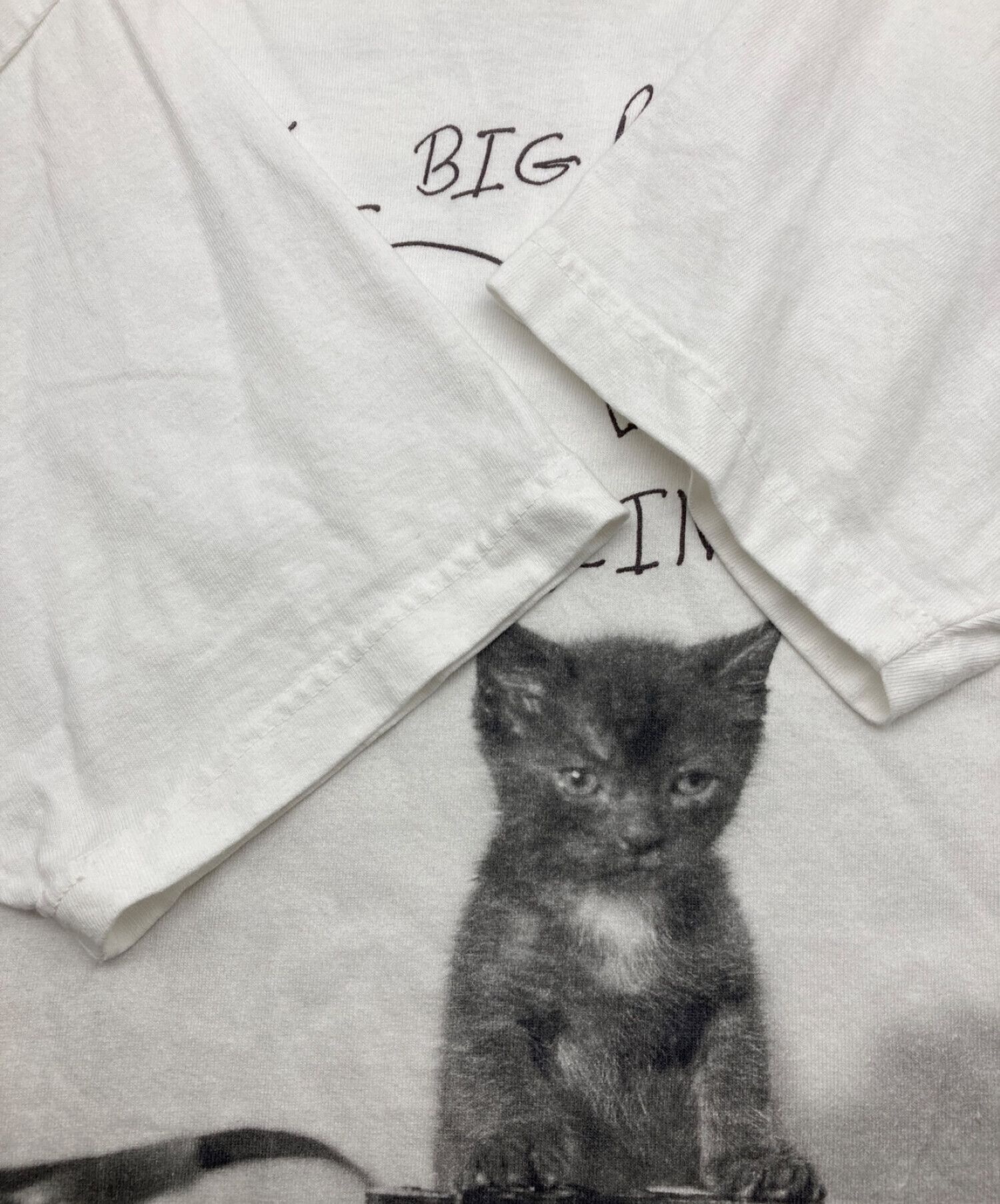 Bruce Weber BIOTOP 10C 猫 ブルースウェーバー Tシャツ