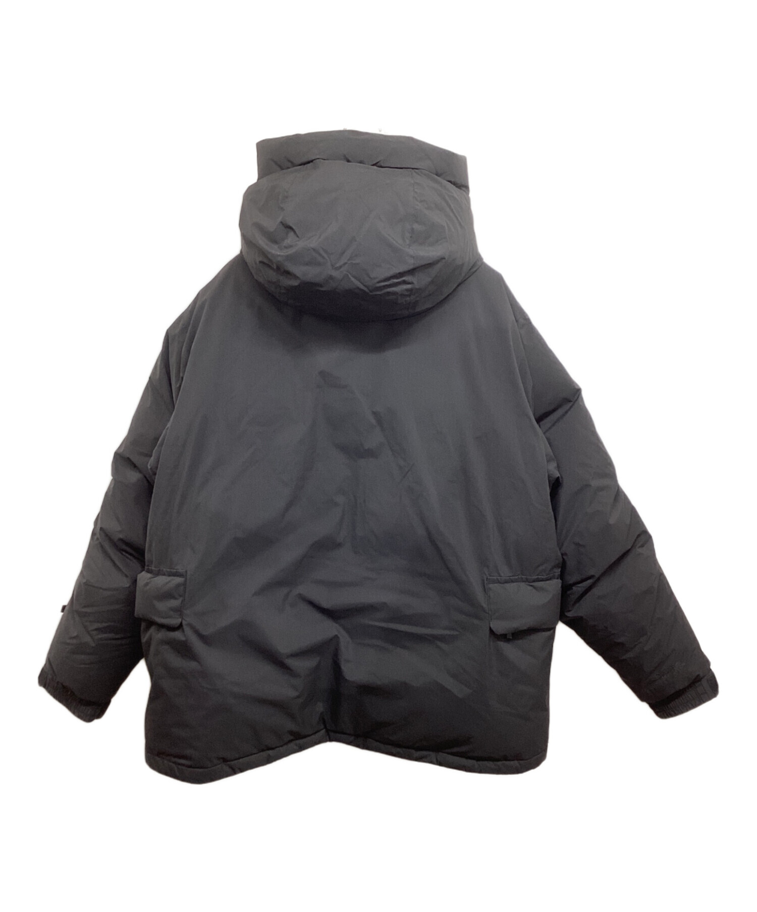 DAIWA PIER39 (ダイワ ピア39) INFINIUM EXPEDITION DOWN JACKET GORE-TEX BW-15020W  ブラック サイズ:M