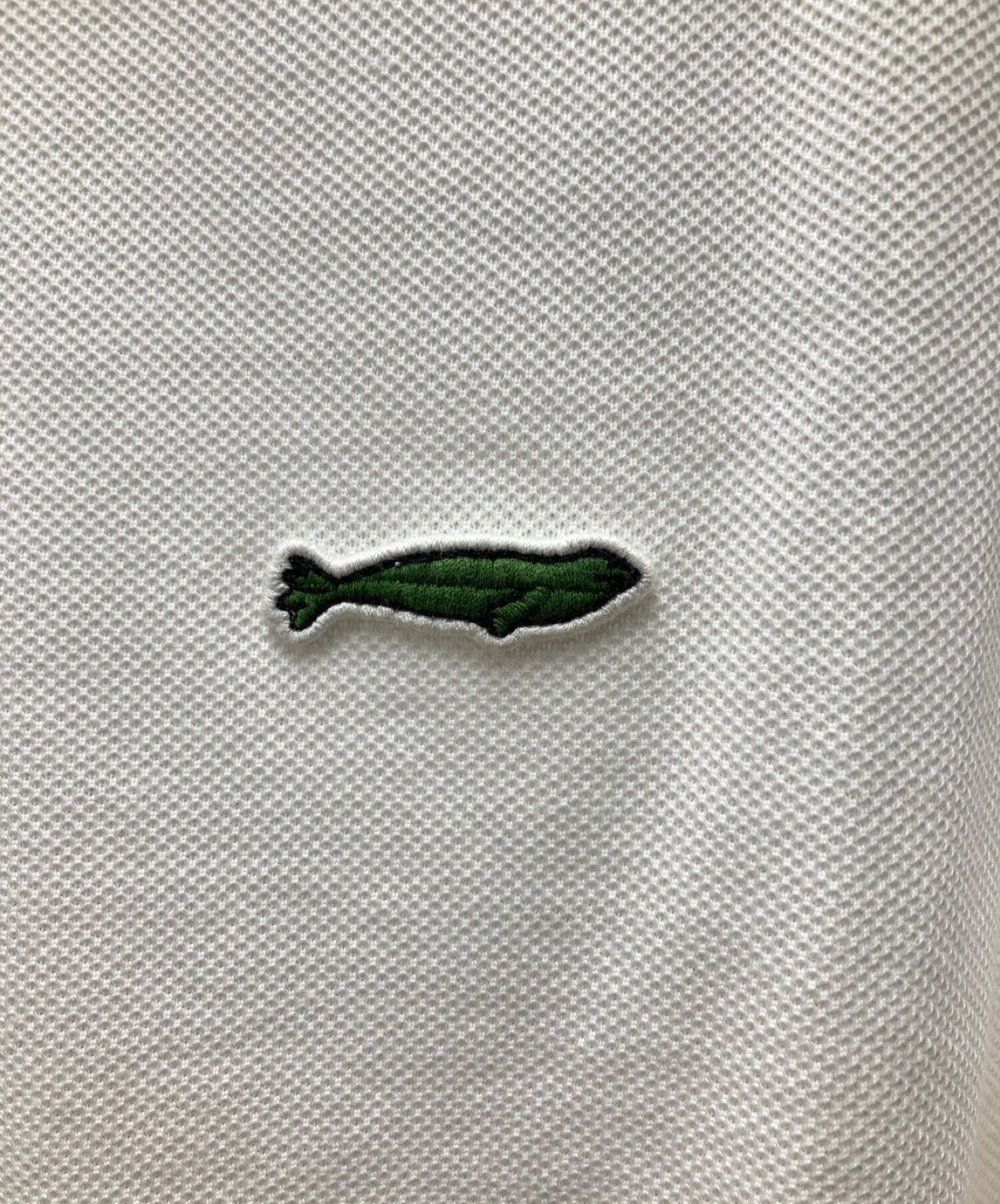LACOSTE Save Our Species ハワイアンモンクアザラシ