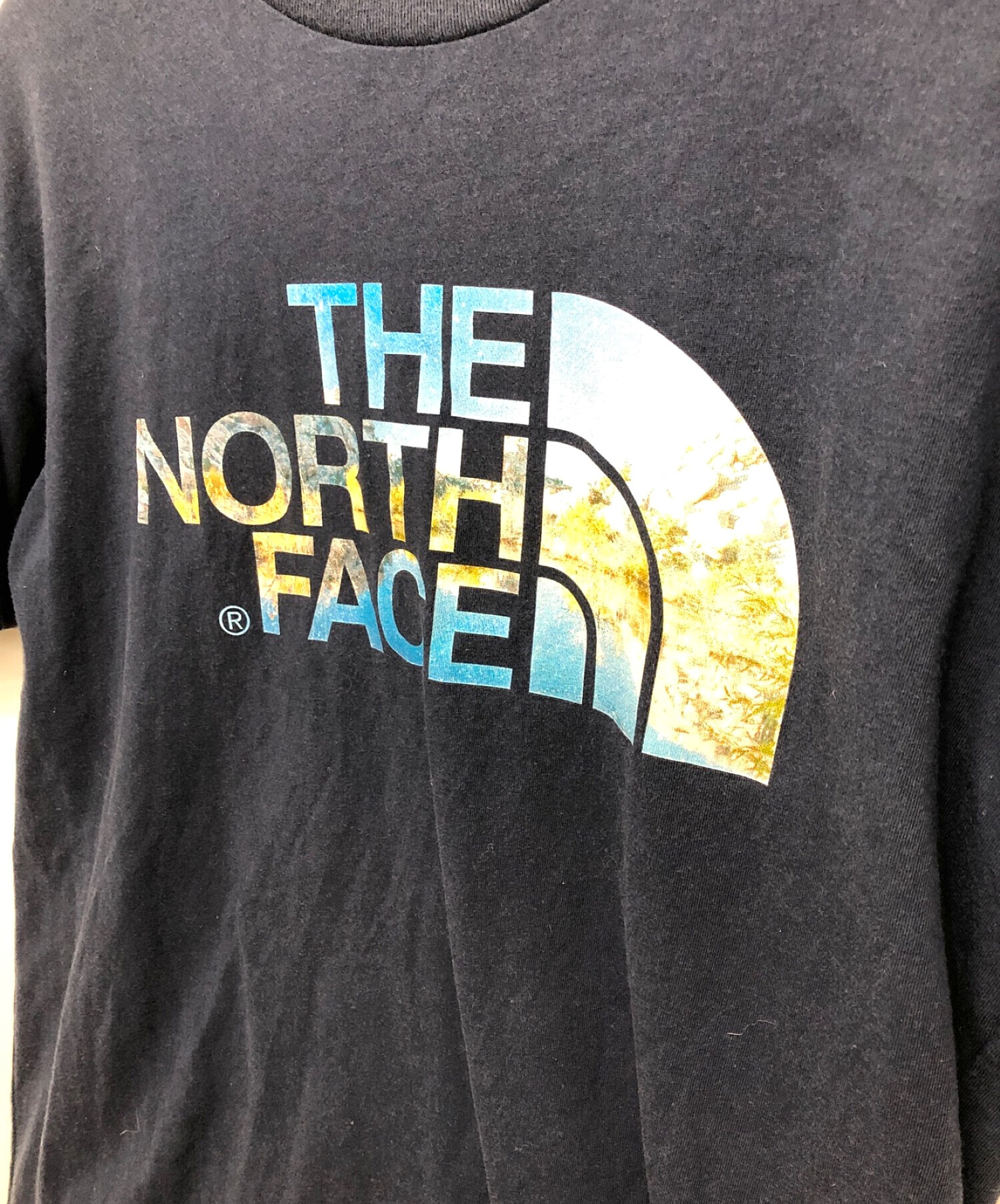 中古・古着通販】THE NORTH FACE (ザ ノース フェイス) Tシャツ