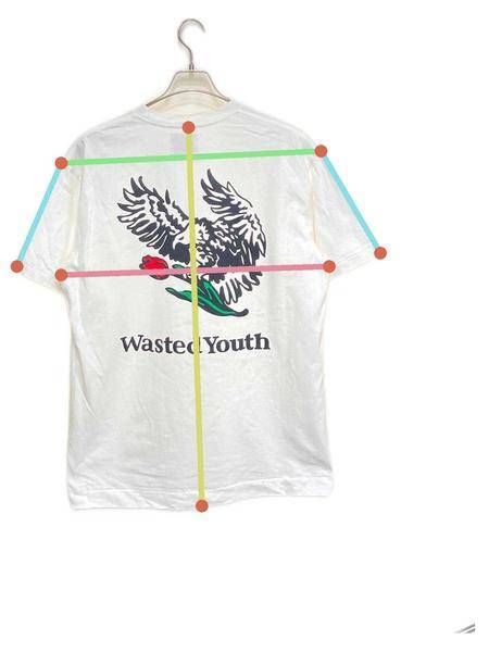 WASTED YOUTH (ウエステッド ユース) WHITE EAGLE T-SHIRT ホワイト サイズ:L