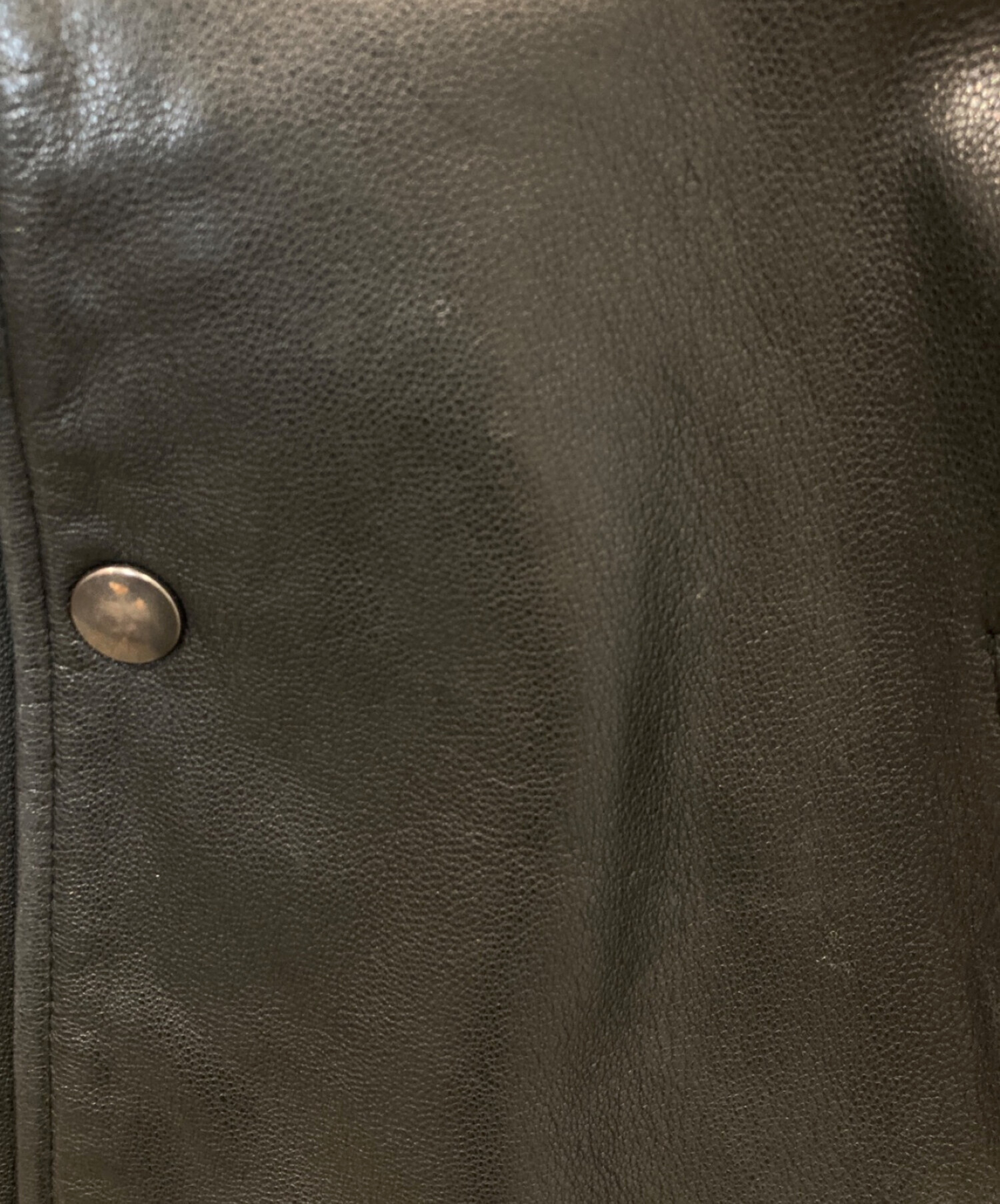 stussy (ステューシー) Brass Leather Coach Jacket ブラック サイズ:M