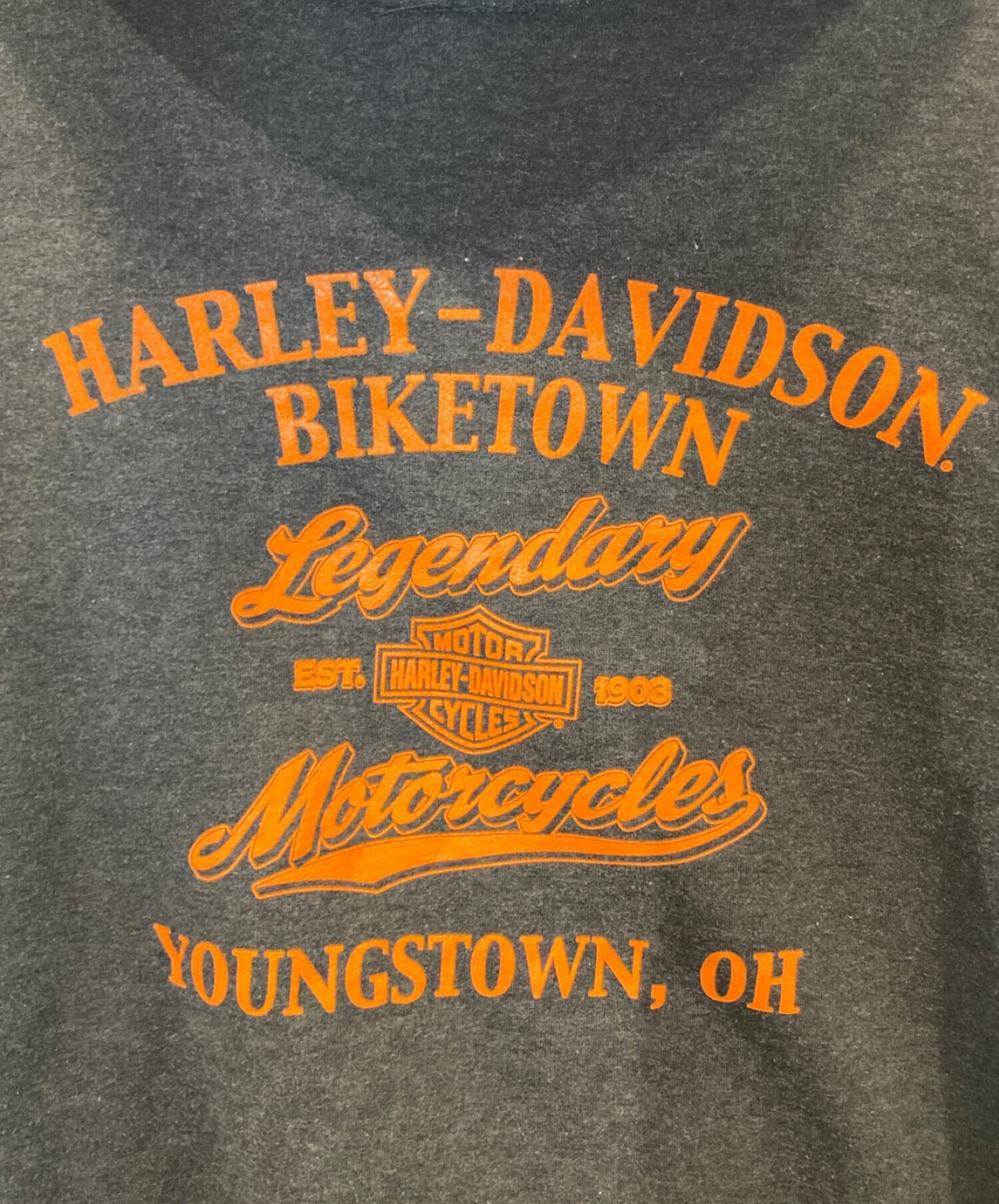 中古・古着通販】HARLEY-DAVIDSON (ハーレーダビッドソン) 裏起毛両面